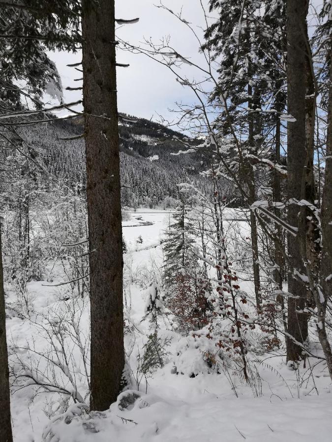 Landhaus Brigitte Flachau Kültér fotó